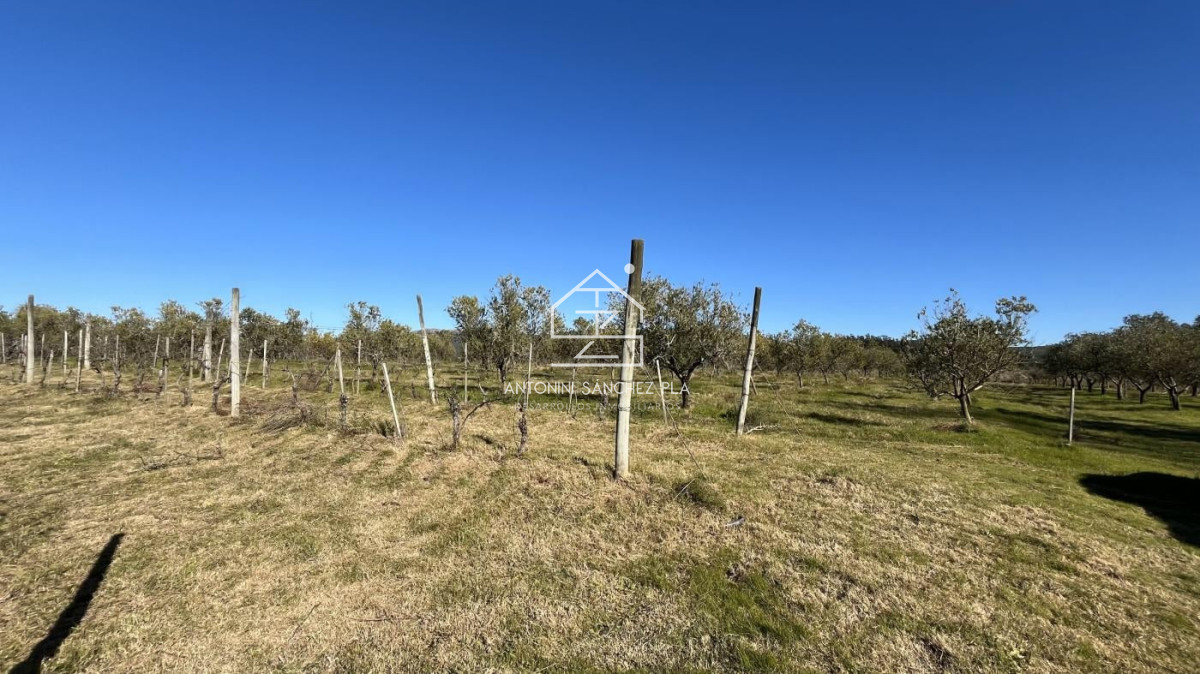 Chacra ID.4036 - Chacra en venta en Piriapolis