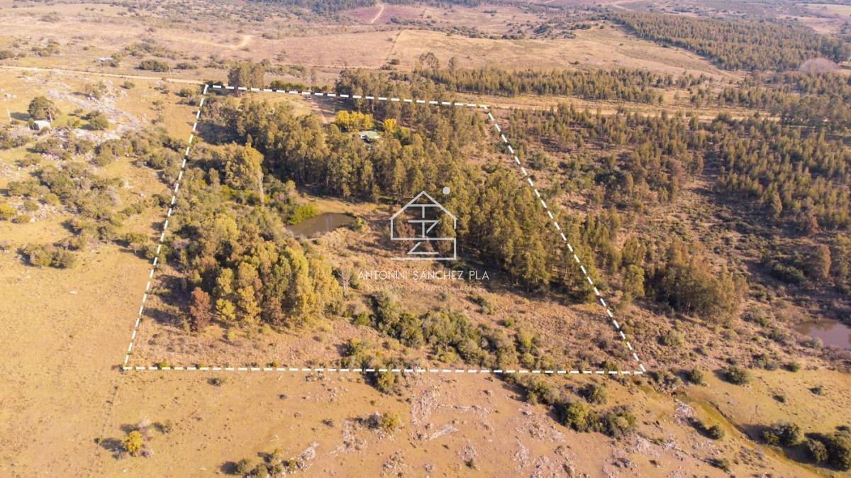 Chacra ID.4033 - En venta Chacra en Pan de Azucar