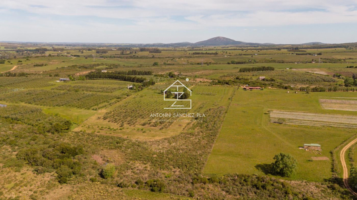 Chacra ID.4036 - Chacra en venta en Piriapolis