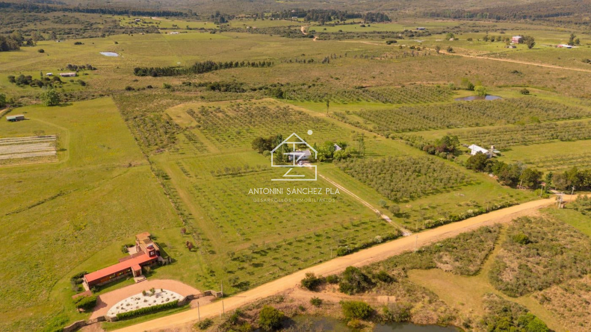 Chacra ID.4036 - Chacra en venta en Piriapolis