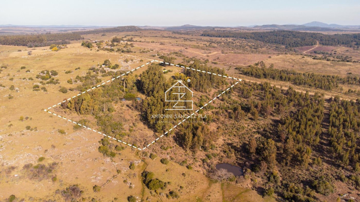 Chacra ID.4033 - En venta Chacra en Pan de Azucar