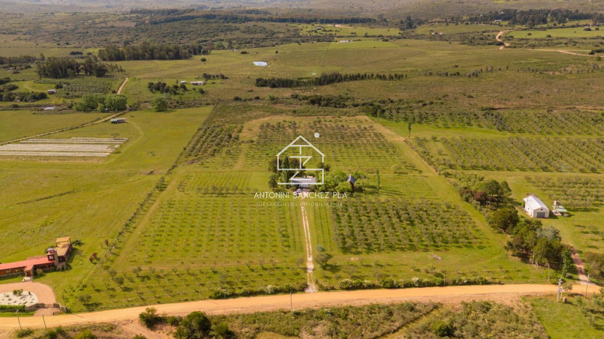 Chacra ID.4036 - Chacra en venta en Piriapolis