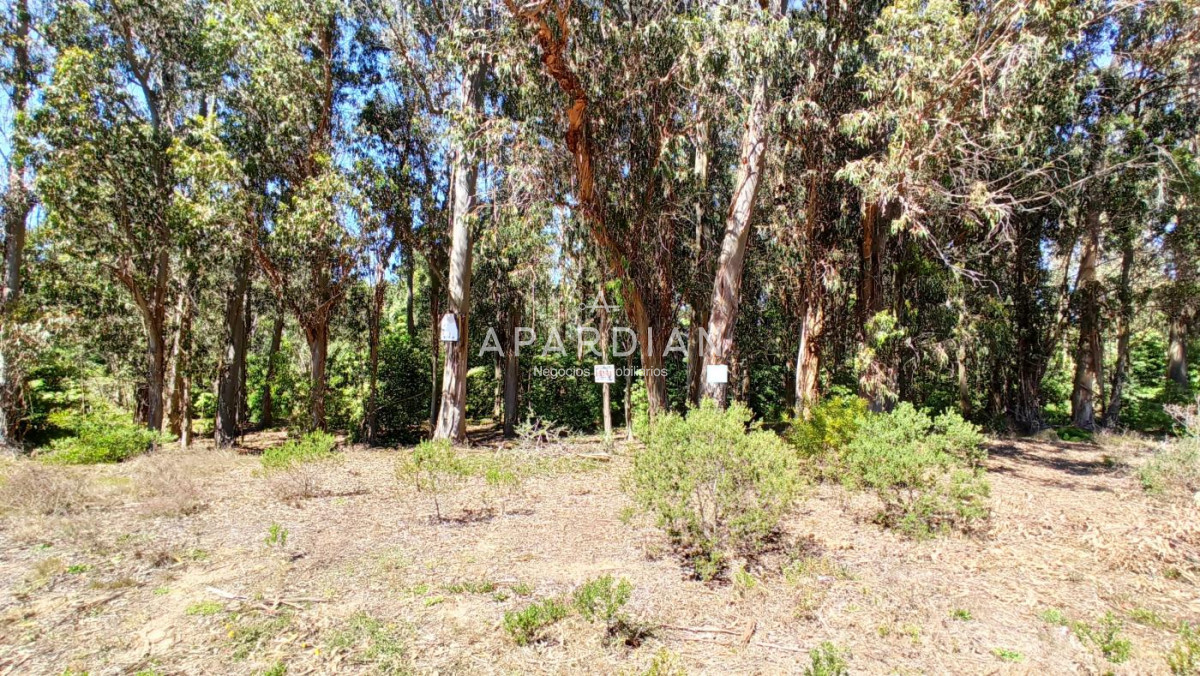 Terreno ID.21097776 - Terreno en Parque Burnett - Maldonado. Ref. 4285