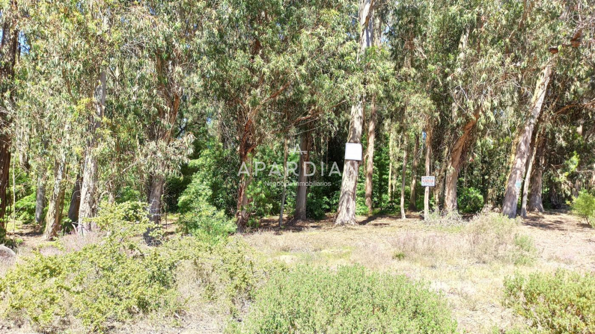 Terreno ID.21097776 - Terreno en Parque Burnett - Maldonado. Ref. 4285