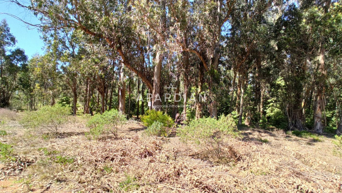 Terreno ID.21097776 - Terreno en Parque Burnett - Maldonado. Ref. 4285