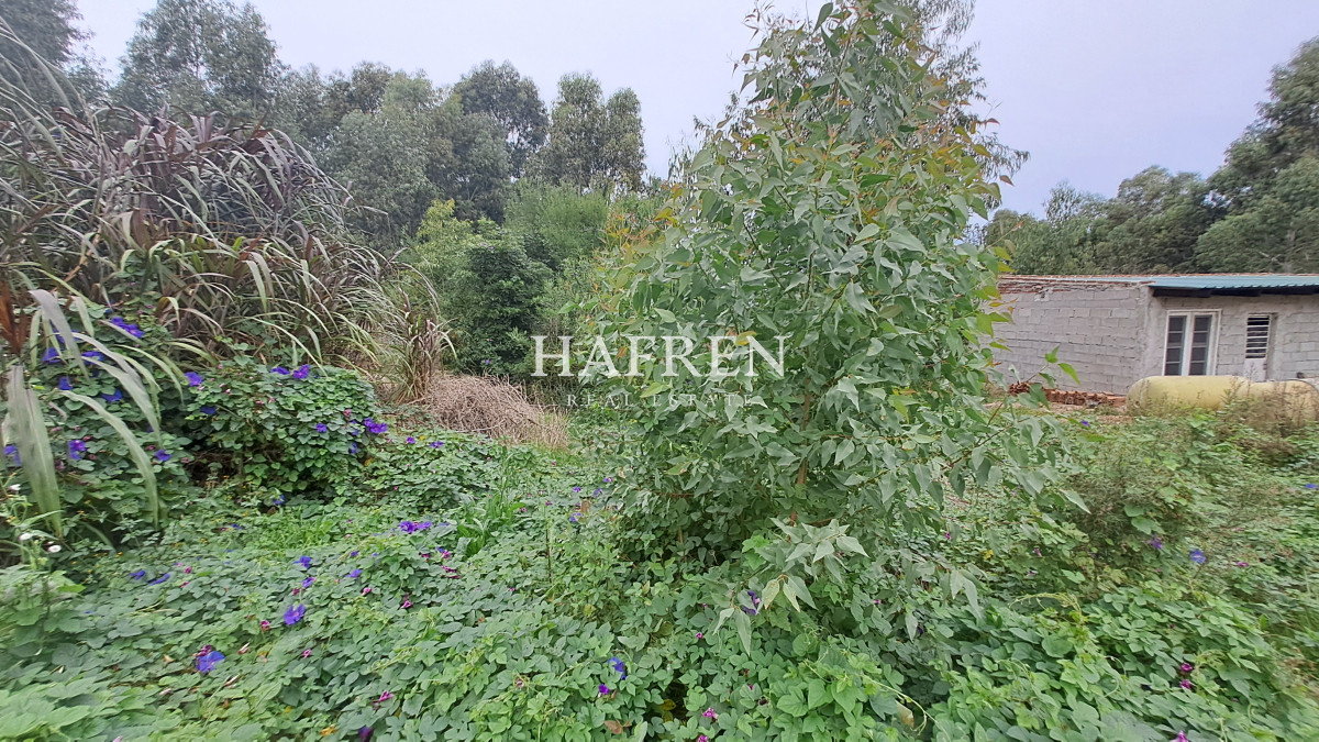 Terreno ID.208 - Terreno en Venta en El Tesoro, La Barra