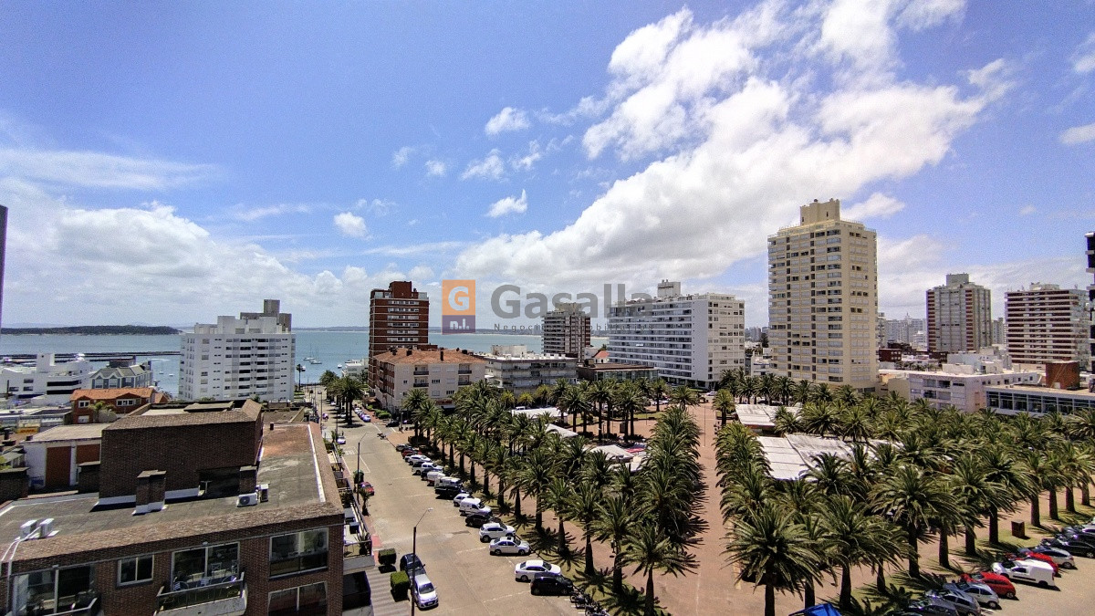 Península - GoPunta - Portal Inmobiliario de Punta del Este - Maldonado