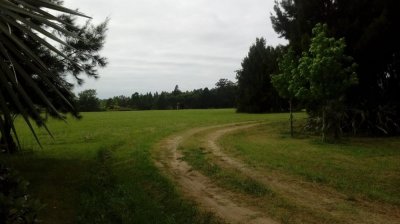 espectacular chacra sobre ruta 104 sobre un predio de 4,66 hectáreas0. ref. 5487 - gsl2178h