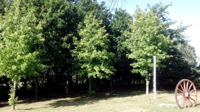 espectacular chacra sobre ruta 104 sobre un predio de 4,66 hectáreas0. ref. 5487 - gsl2178h