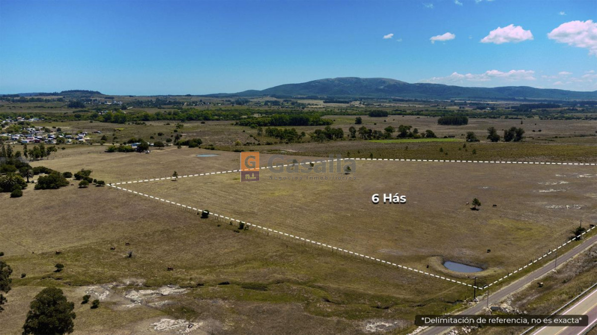 Ruta 60 - GoPunta - Portal Inmobiliario de Punta del Este - Maldonado
