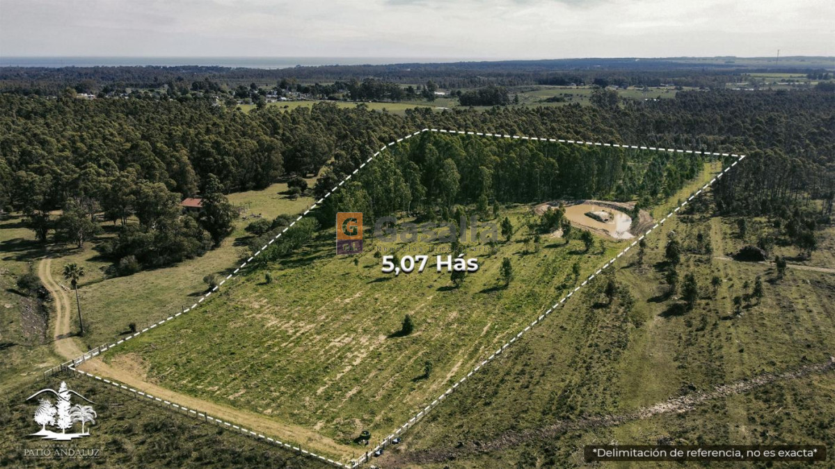 Cerros Azules - GoPunta - Portal Inmobiliario de Punta del Este - Maldonado