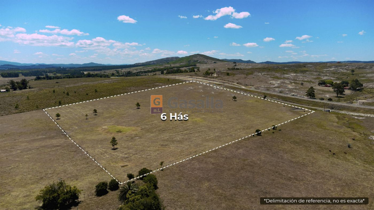 Ruta 60 - GoPunta - Portal Inmobiliario de Punta del Este - Maldonado