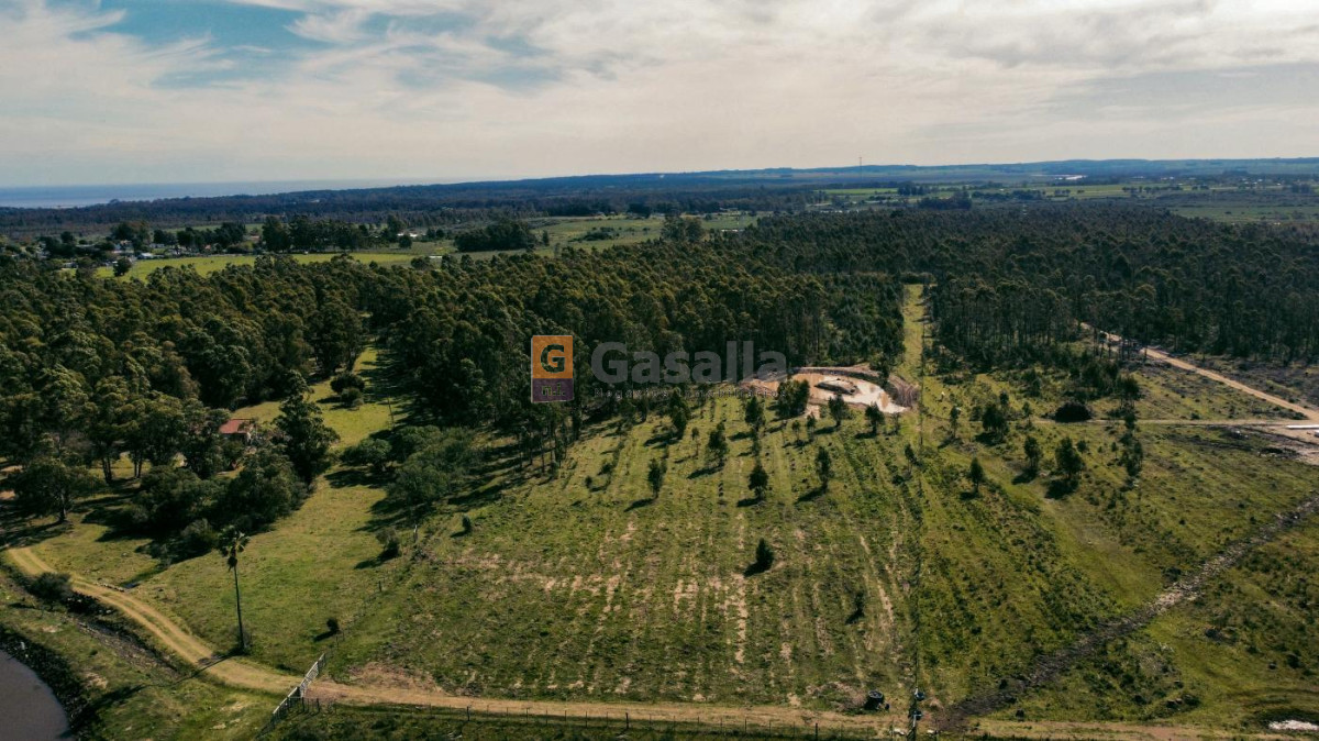 Cerros Azules - GoPunta - Portal Inmobiliario de Punta del Este - Maldonado