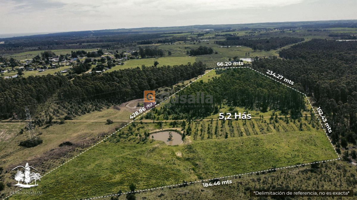 Cerros Azules - GoPunta - Portal Inmobiliario de Punta del Este - Maldonado