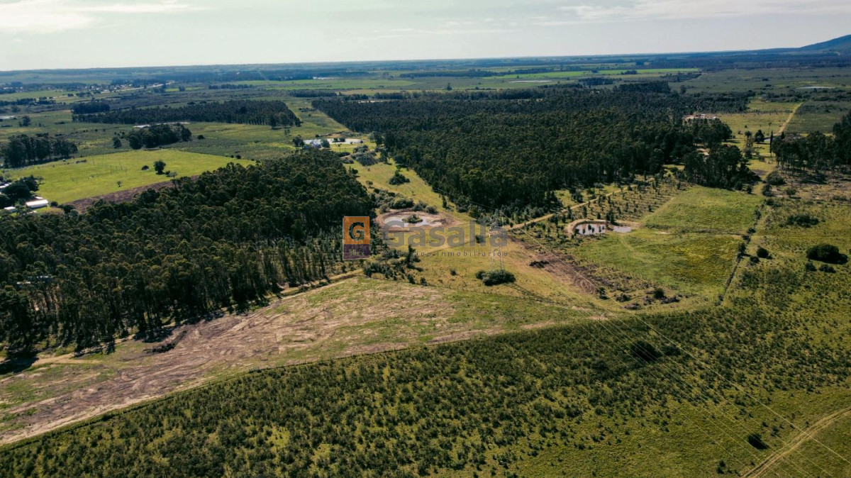 Cerros Azules - GoPunta - Portal Inmobiliario de Punta del Este - Maldonado