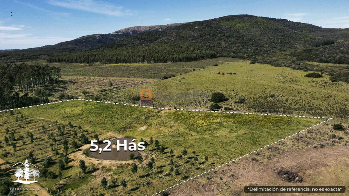 Cerros Azules - GoPunta - Portal Inmobiliario de Punta del Este - Maldonado