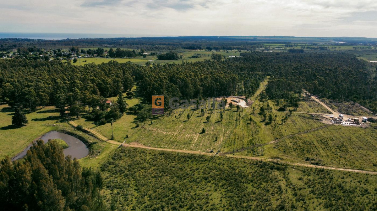 Cerros Azules - GoPunta - Portal Inmobiliario de Punta del Este - Maldonado