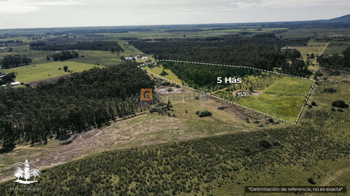 Cerros Azules - GoPunta - Portal Inmobiliario de Punta del Este - Maldonado