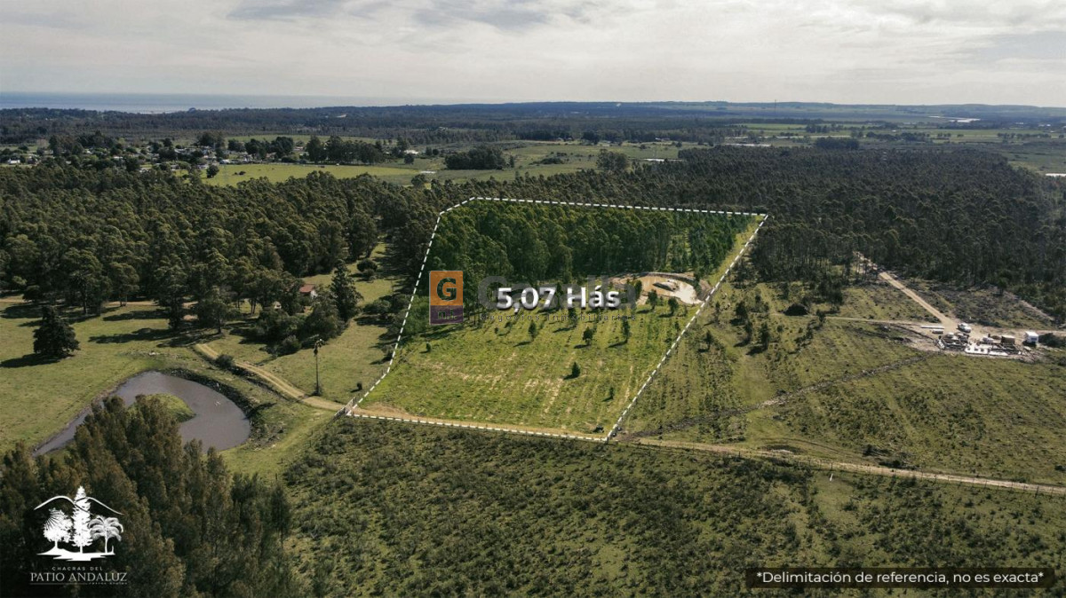 Cerros Azules - GoPunta - Portal Inmobiliario de Punta del Este - Maldonado