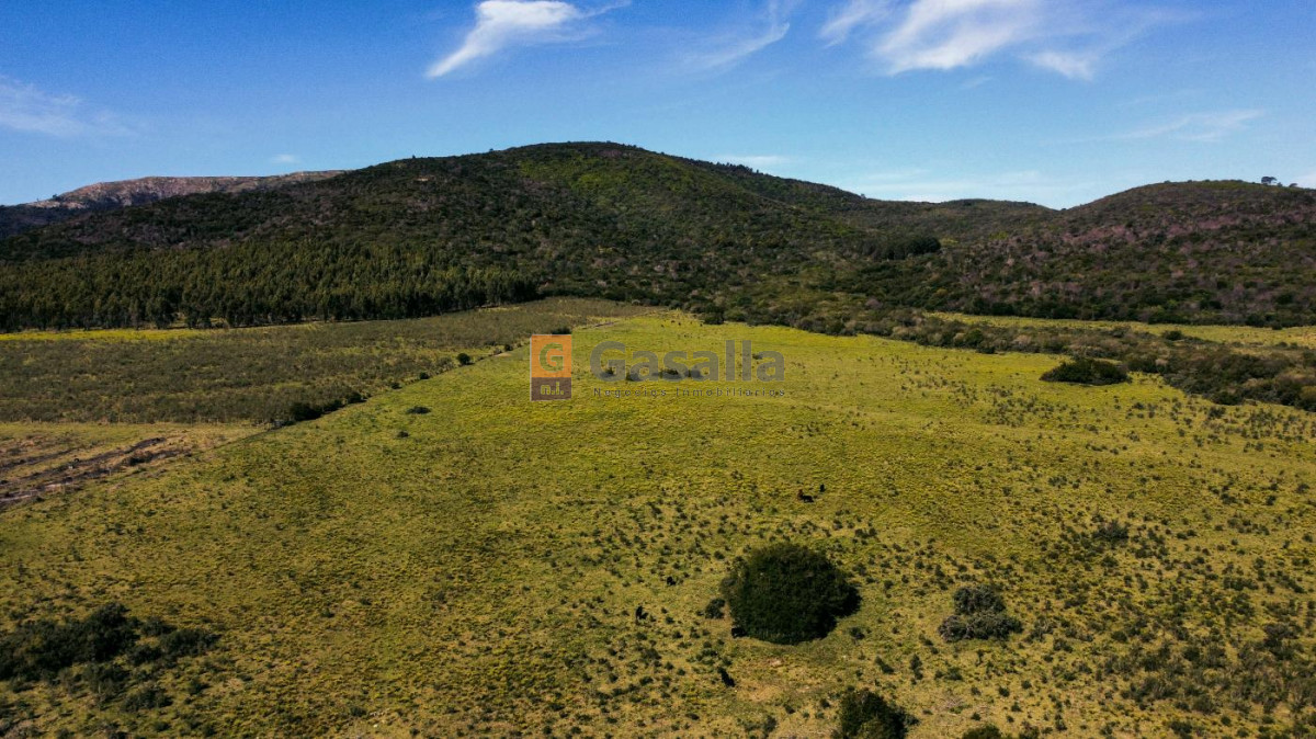 Cerros Azules - GoPunta - Portal Inmobiliario de Punta del Este - Maldonado