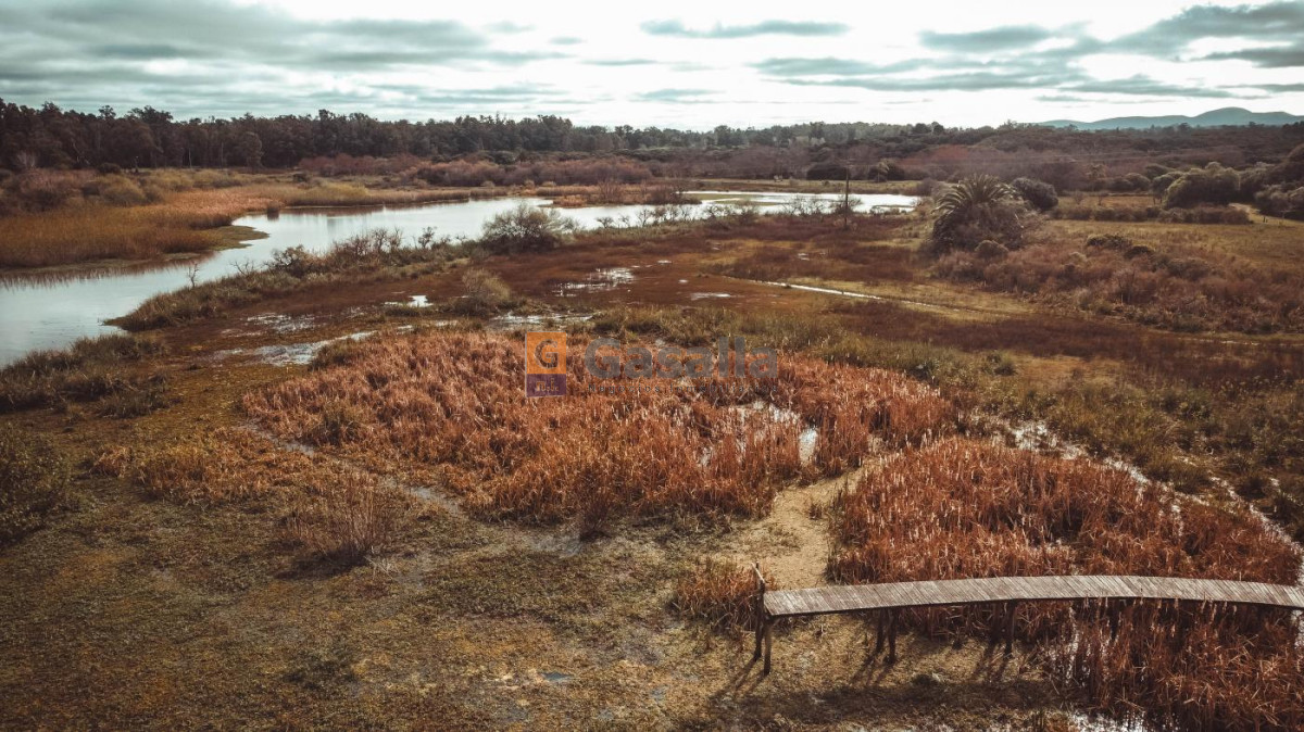 Bella Vista - GoPunta - Portal Inmobiliario de Punta del Este - Maldonado
