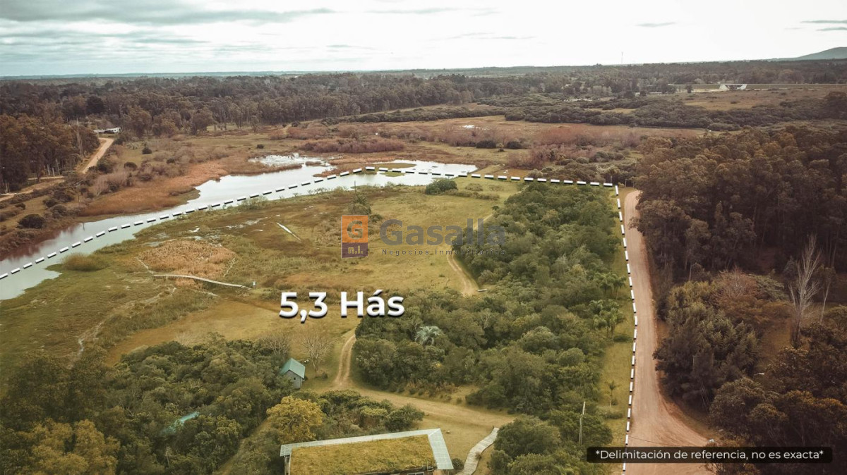 Bella Vista - GoPunta - Portal Inmobiliario de Punta del Este - Maldonado