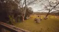 Foto 29