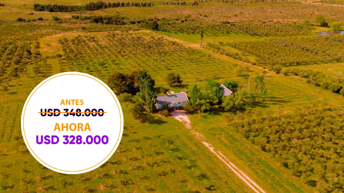 Chacra en venta en Piriapolis