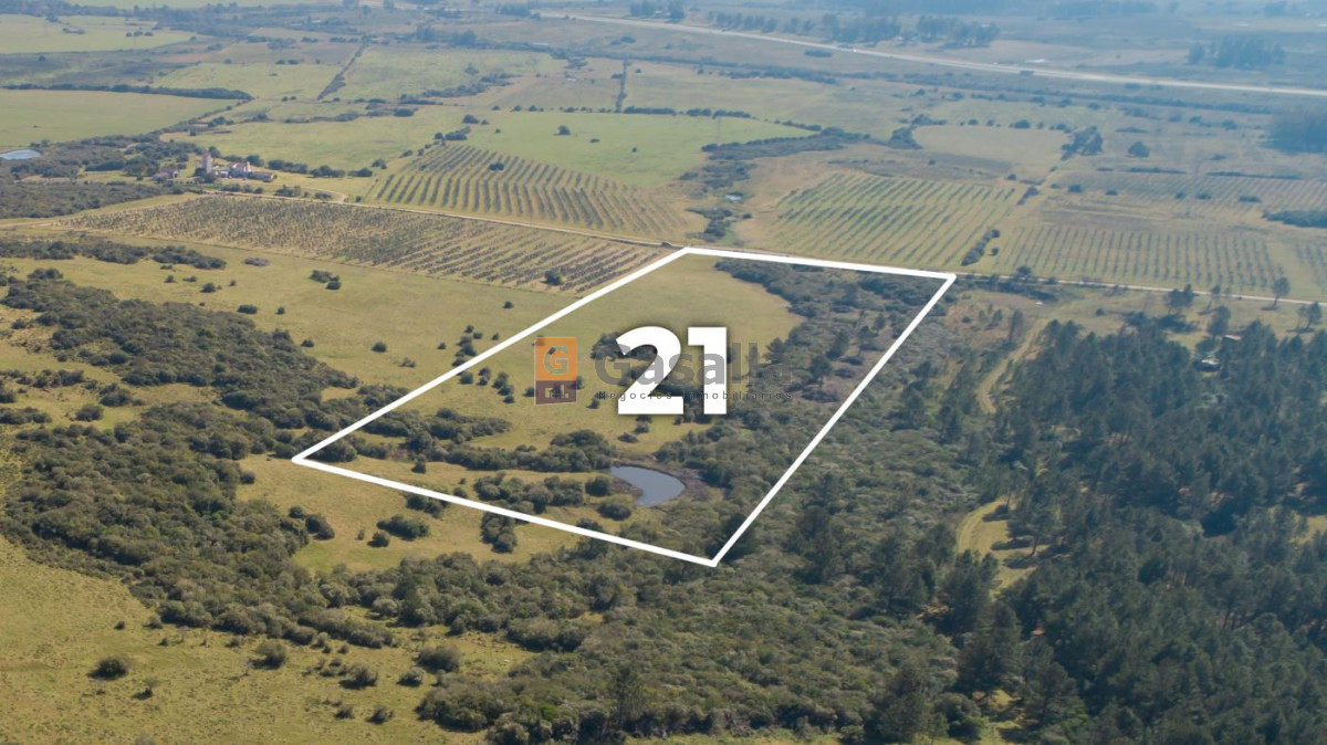 Chacra de 5 Has. en venta - "Chacras del Cerro"  - GSL1169P