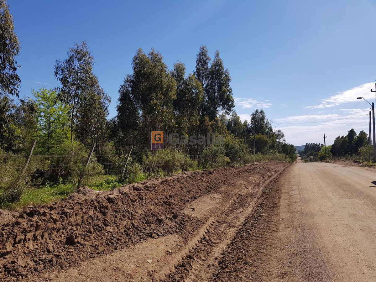 Campo en Pan de Azucar,  - GSL1077P