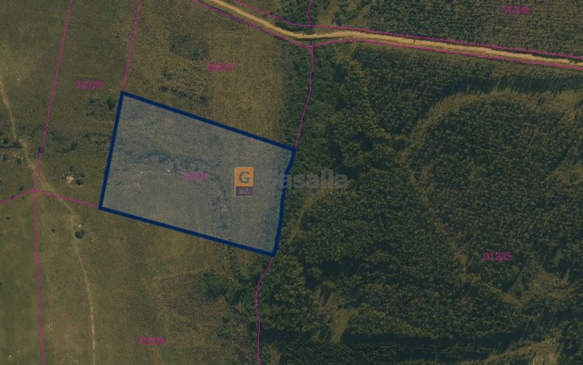 Campo en , - GoPunta - Portal Inmobiliario de Punta del Este - Maldonado