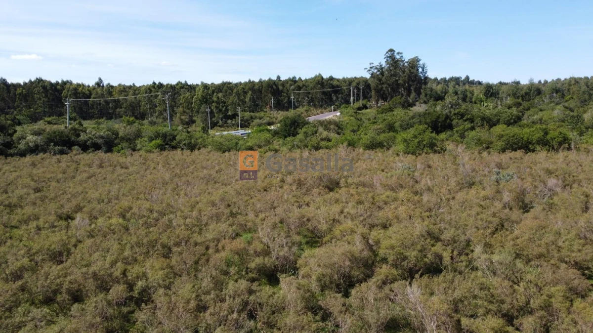 Campo en , - GoPunta - Portal Inmobiliario de Punta del Este - Maldonado