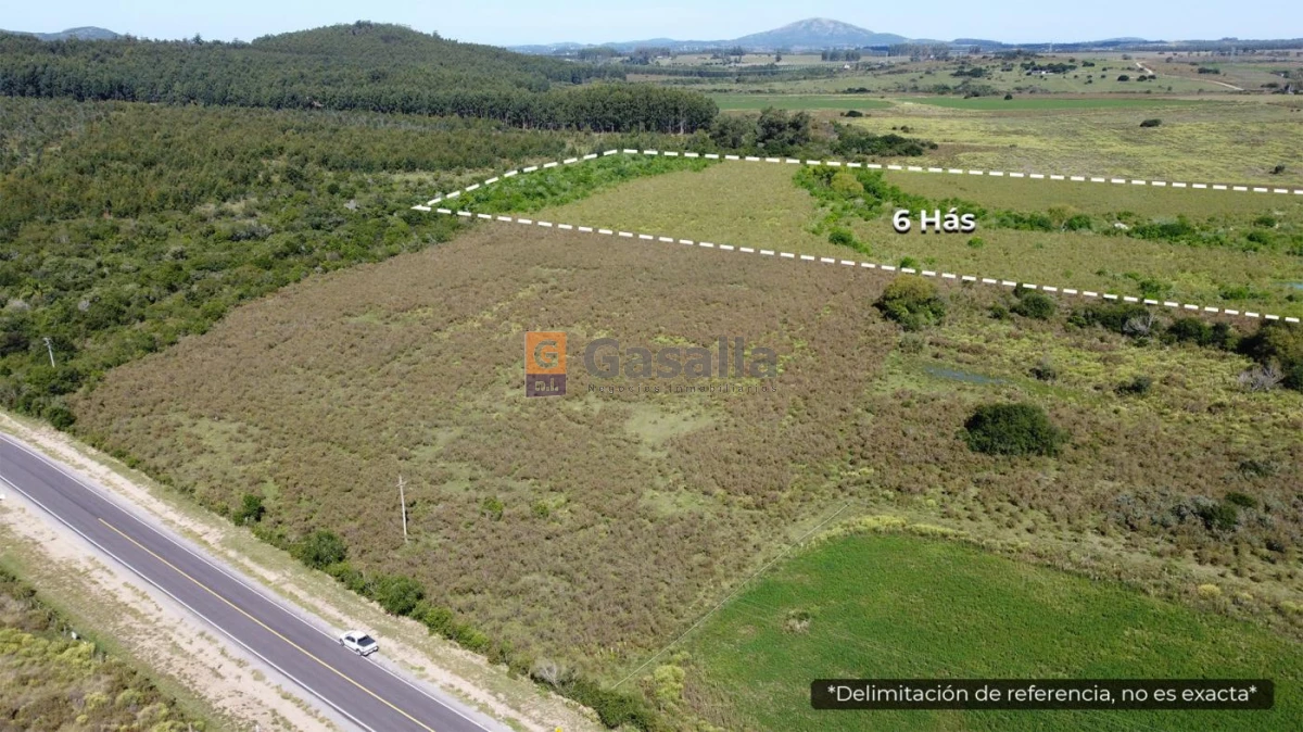 Campo en , - GoPunta - Portal Inmobiliario de Punta del Este - Maldonado