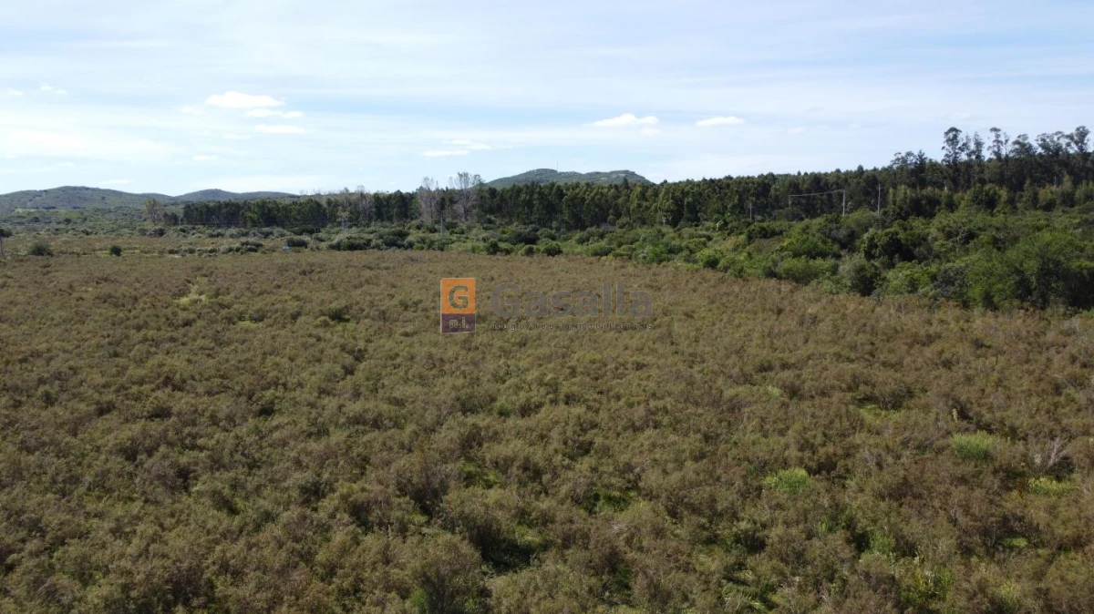Campo en , - GoPunta - Portal Inmobiliario de Punta del Este - Maldonado