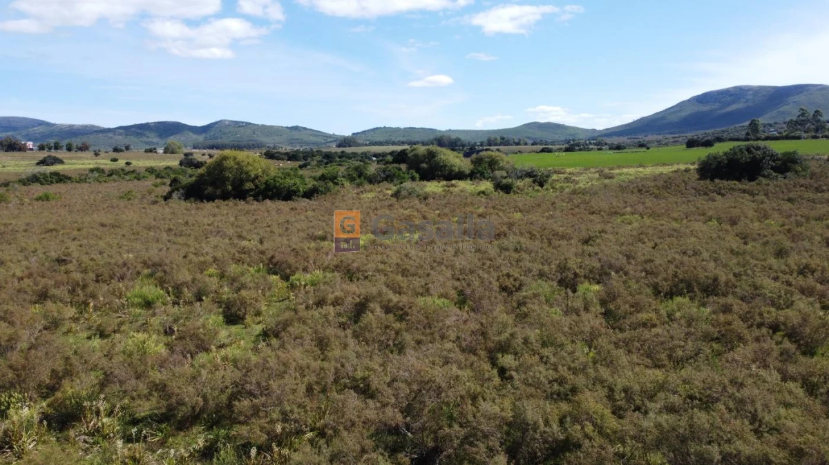 Campo en , - GoPunta - Portal Inmobiliario de Punta del Este - Maldonado