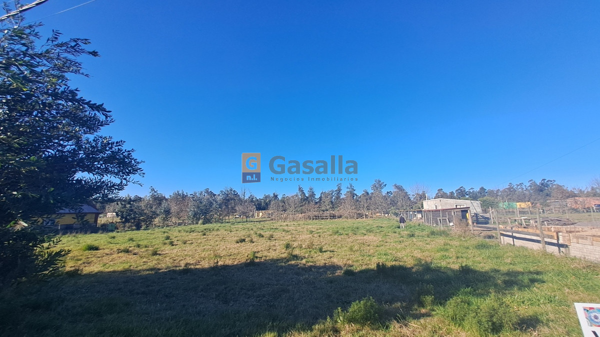 El Tesoro - GoPunta - Portal Inmobiliario de Punta del Este - Maldonado
