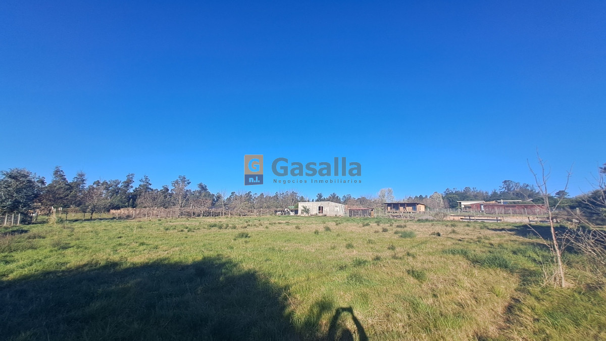 El Tesoro - GoPunta - Portal Inmobiliario de Punta del Este - Maldonado