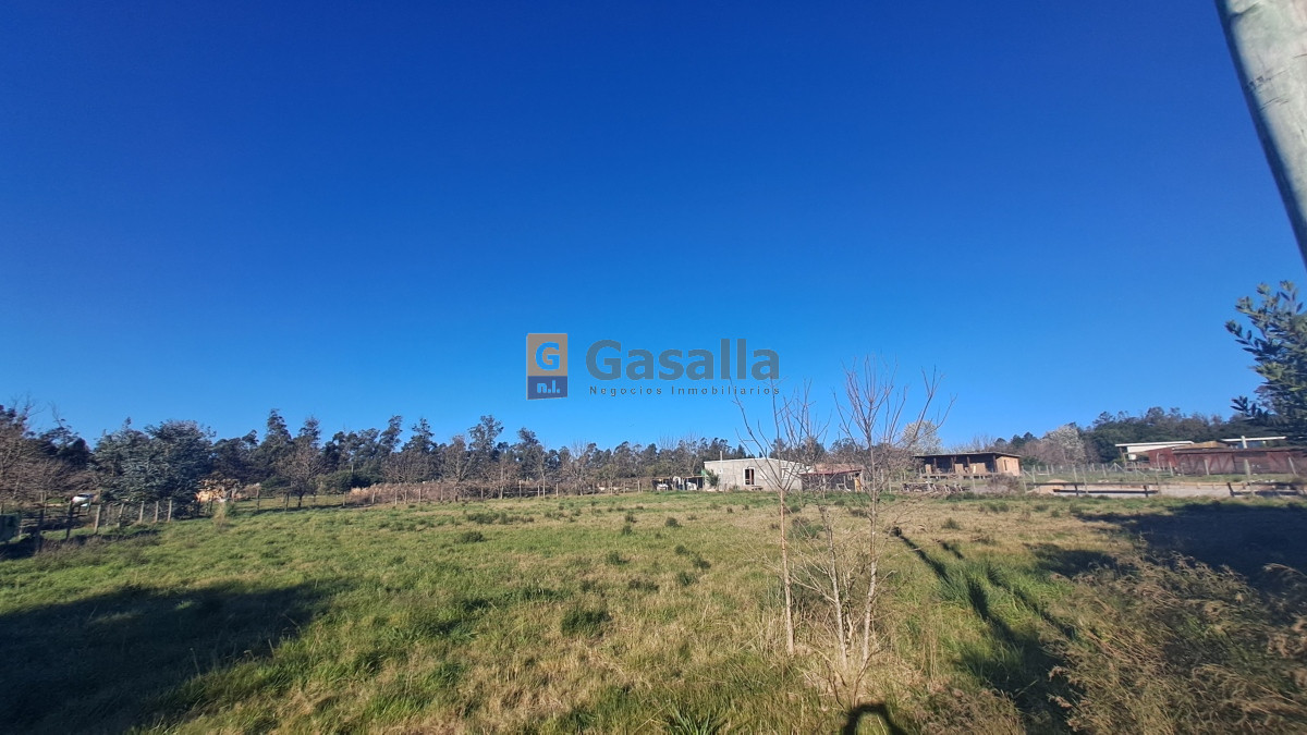 El Tesoro - GoPunta - Portal Inmobiliario de Punta del Este - Maldonado