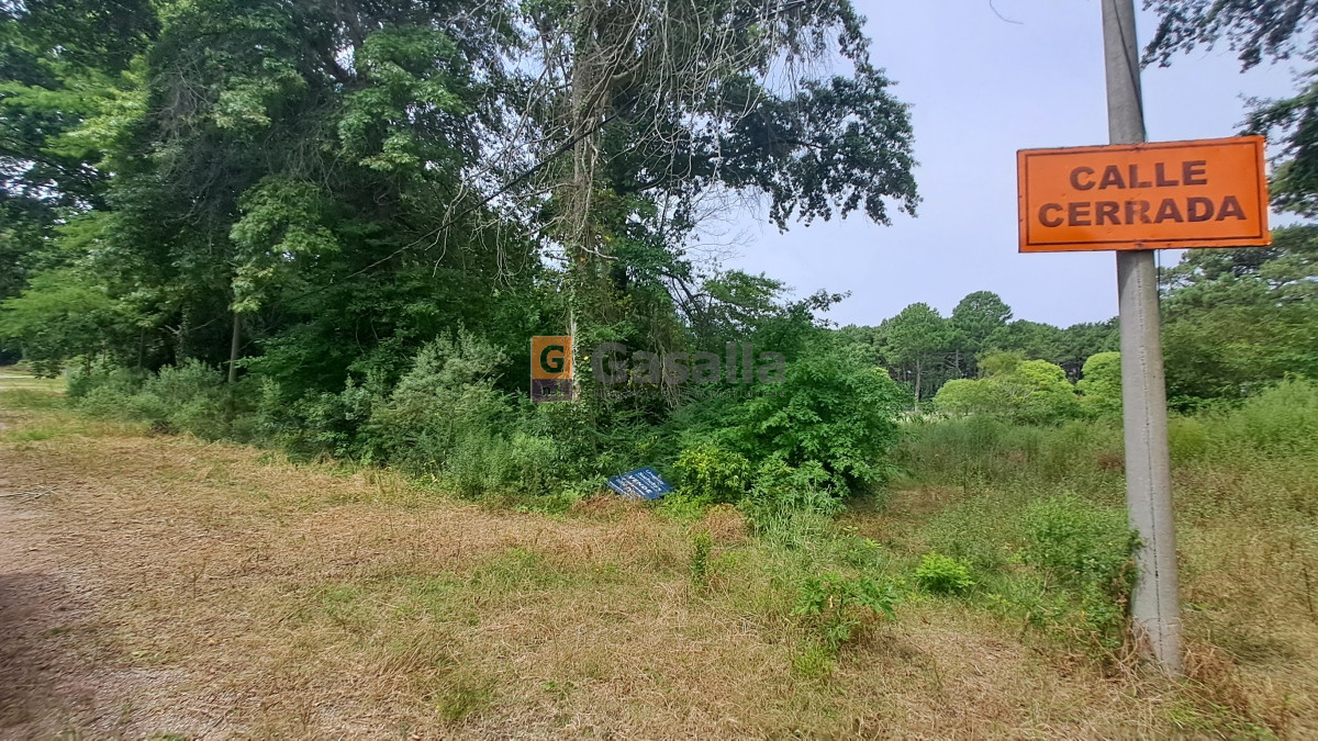 Golf - GoPunta - Portal Inmobiliario de Punta del Este - Maldonado