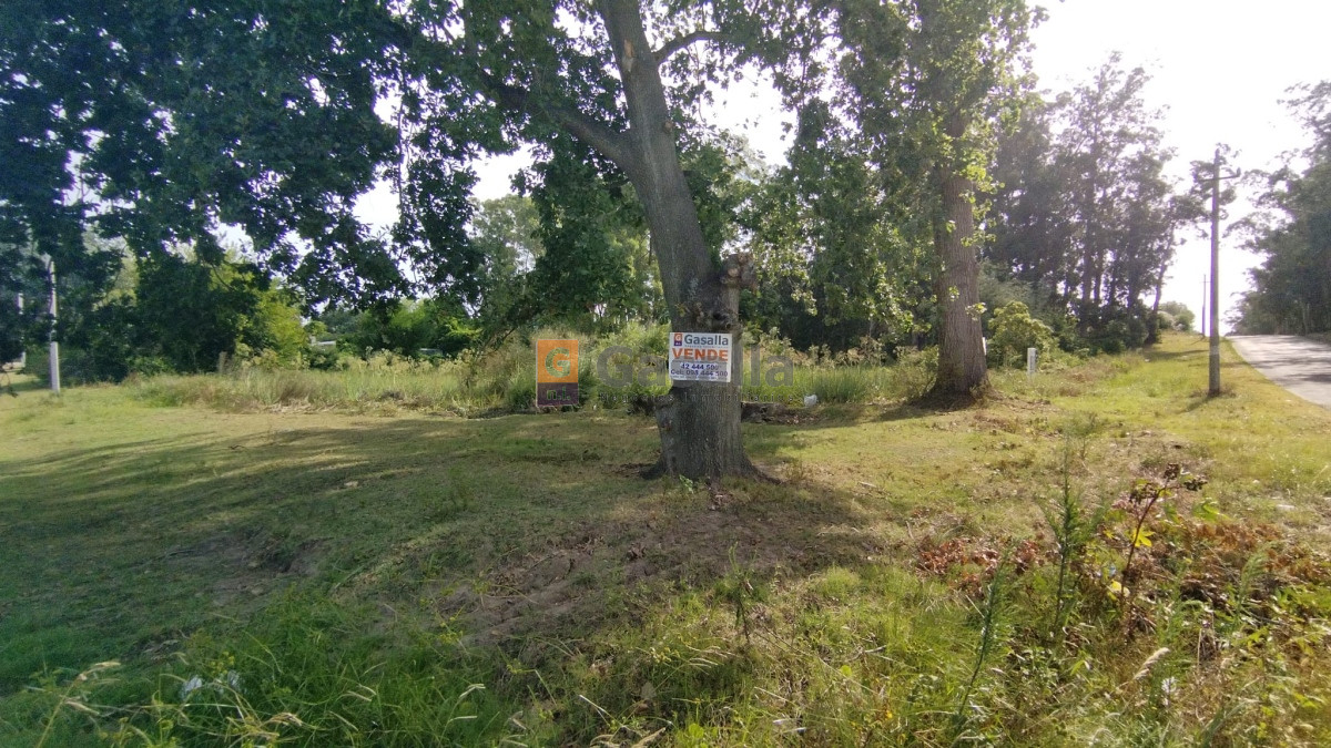 Terreno En Venta - Zona Golf Ref. 6466 - GSL4648T