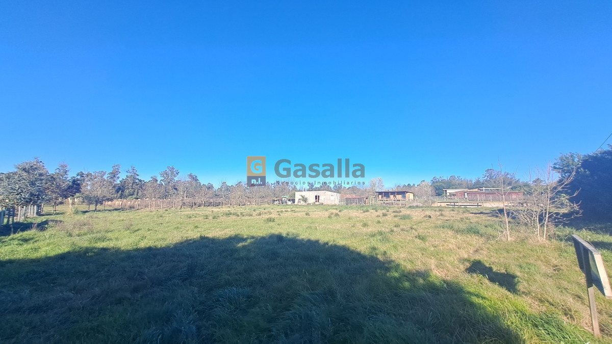 El Tesoro - GoPunta - Portal Inmobiliario de Punta del Este - Maldonado