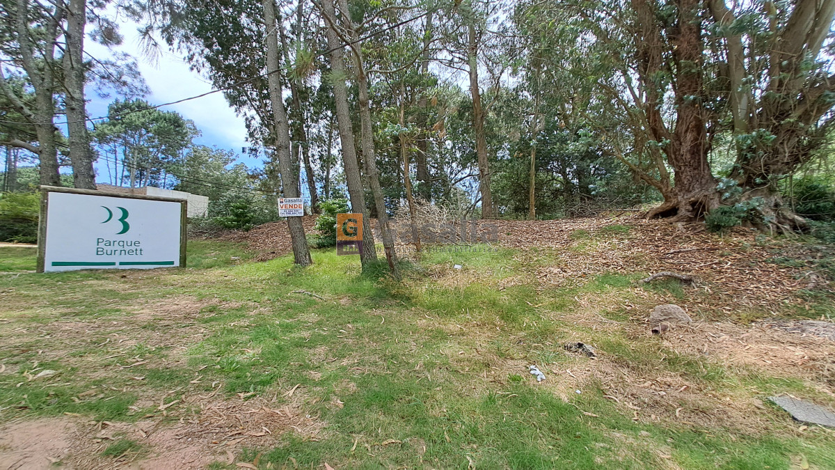 Propiedad - GoPunta - Portal Inmobiliario de Punta del Este - Maldonado