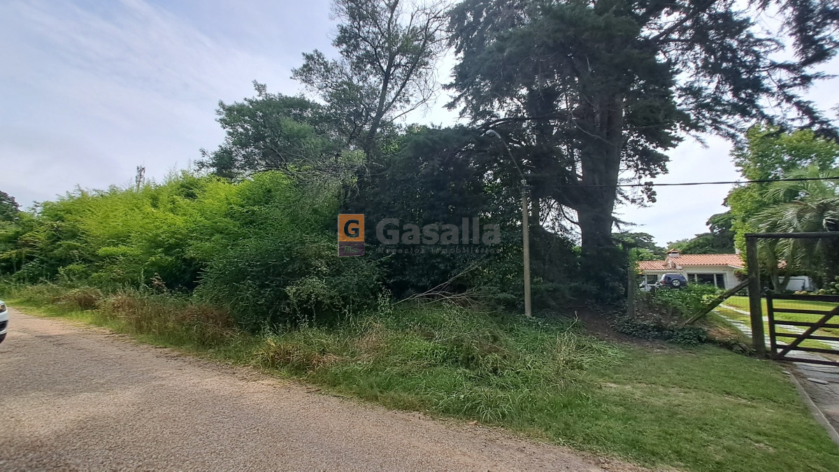 Golf - GoPunta - Portal Inmobiliario de Punta del Este - Maldonado