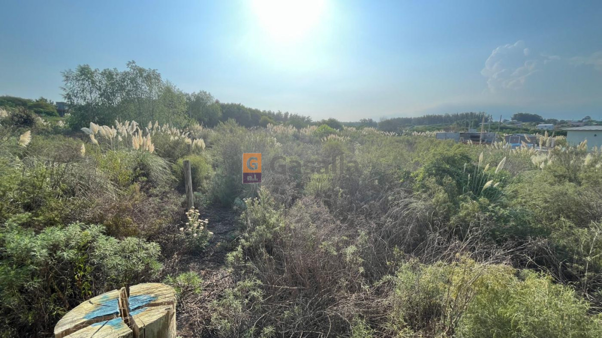 El Chorro - GoPunta - Portal Inmobiliario de Punta del Este - Maldonado