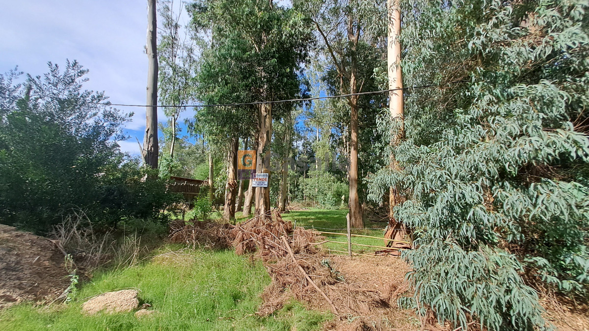 El Tesoro - GoPunta - Portal Inmobiliario de Punta del Este - Maldonado