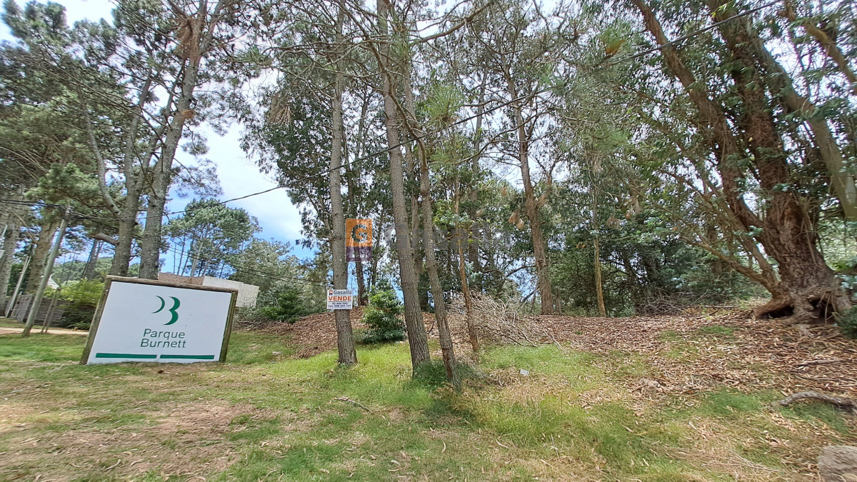 Propiedad - GoPunta - Portal Inmobiliario de Punta del Este - Maldonado