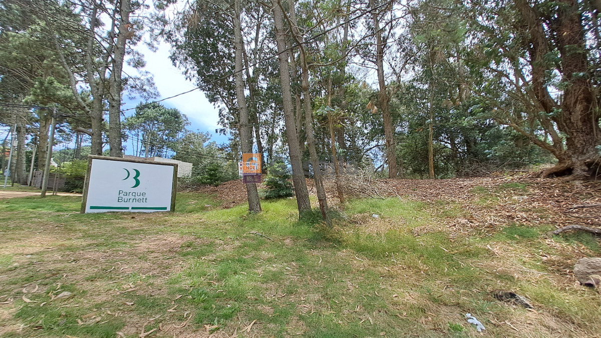 Propiedad - GoPunta - Portal Inmobiliario de Punta del Este - Maldonado