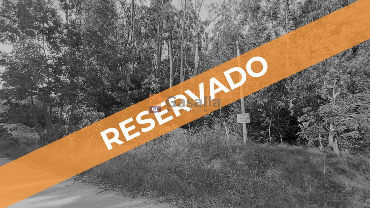 El Tesoro - GoPunta - Portal Inmobiliario de Punta del Este - Maldonado