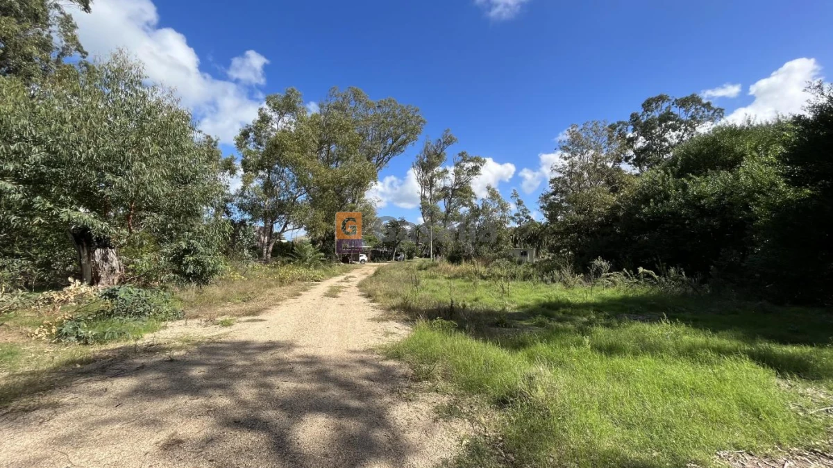 Sauce de Portezuelo - GoPunta - Portal Inmobiliario de Punta del Este - Maldonado