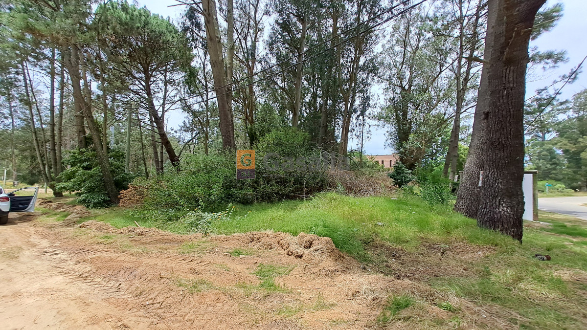 Propiedad - GoPunta - Portal Inmobiliario de Punta del Este - Maldonado